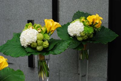 餐廳開幕佈置